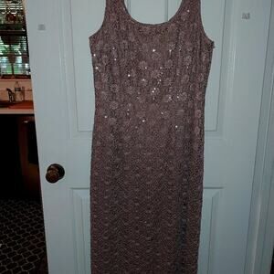 R&M Richards women's lace sequins dress SZ 16